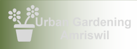Urban Gardening Amriswil